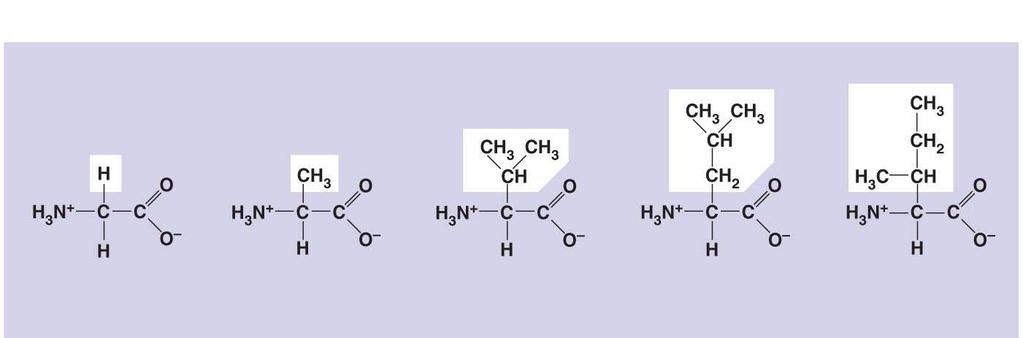 Fig. 5-17a Nonpolar Glycine (Gly or G) Alanine