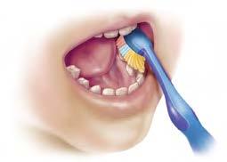 Once you reach the gumline, curve floss into a C shape around the tooth and make