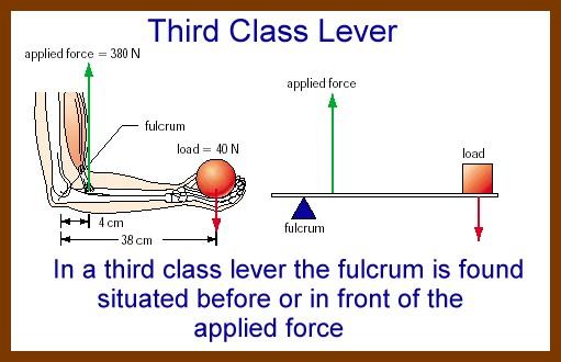 Length from fulcrum to apllied force Length from fulcrum to load