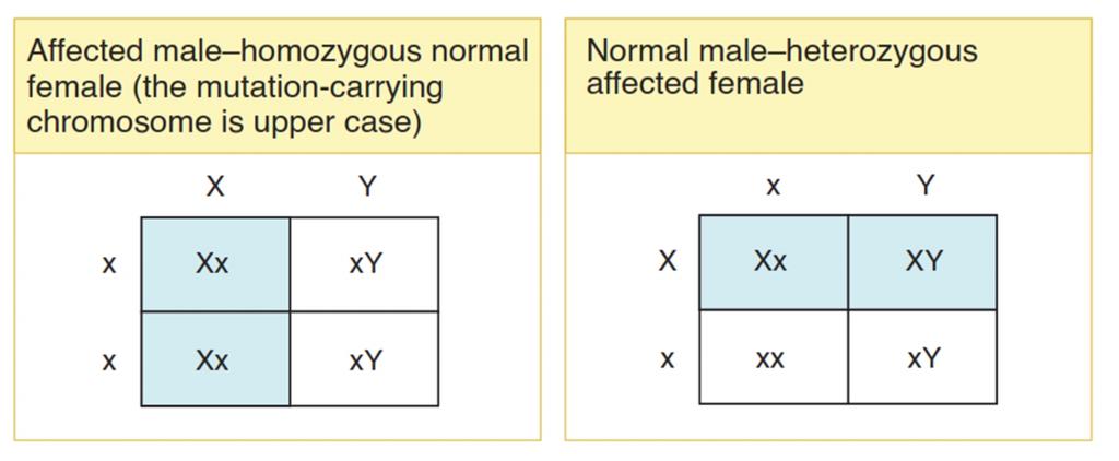 X-Linked Dominant Inheritance There are relatively few diseases whose inheritance is classified as X-linked dominant. Fragile X syndrome is an important example.