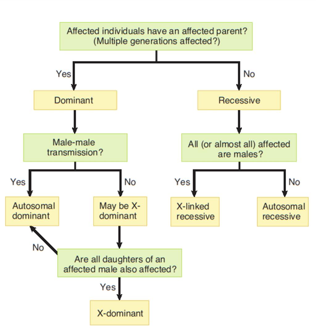 Summary: a basic decision tree for