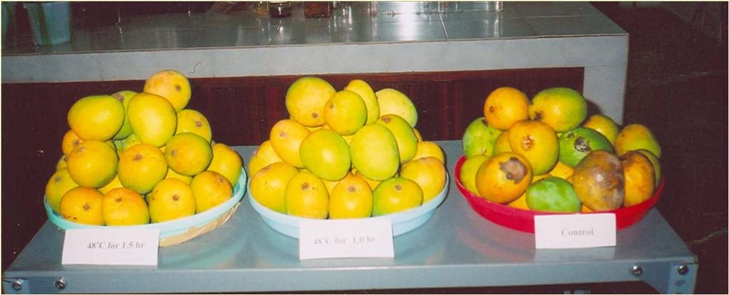Hot water treated mangoes