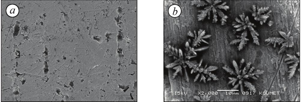 832 İ. ÜNAL, S. ZOR, AND H. ATAPEK Fig. 1. General view of the NiTi alloy immersed in the artificial saliva for 10 days (a), Ti-based oxide in the crystalline form (b). Fig. 2.