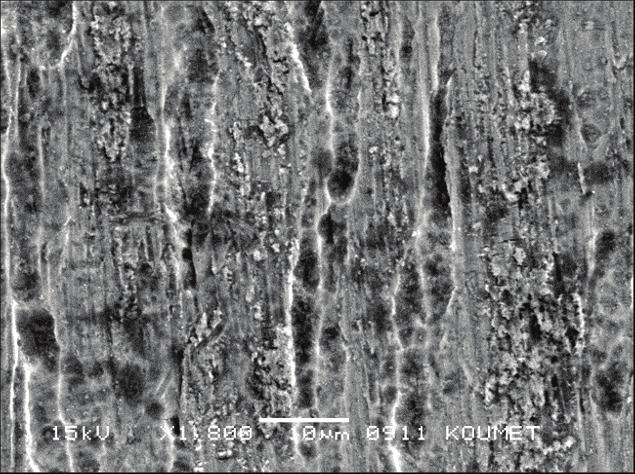 834 İ. ÜNAL, S. ZOR, AND H. ATAPEK Fig. 4. General view of the surface of NiTi alloy immersed in Solution II for 10 days. Fig. 5.