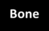 Bisphosphonate mechanism of action Bisphosphonate Bone