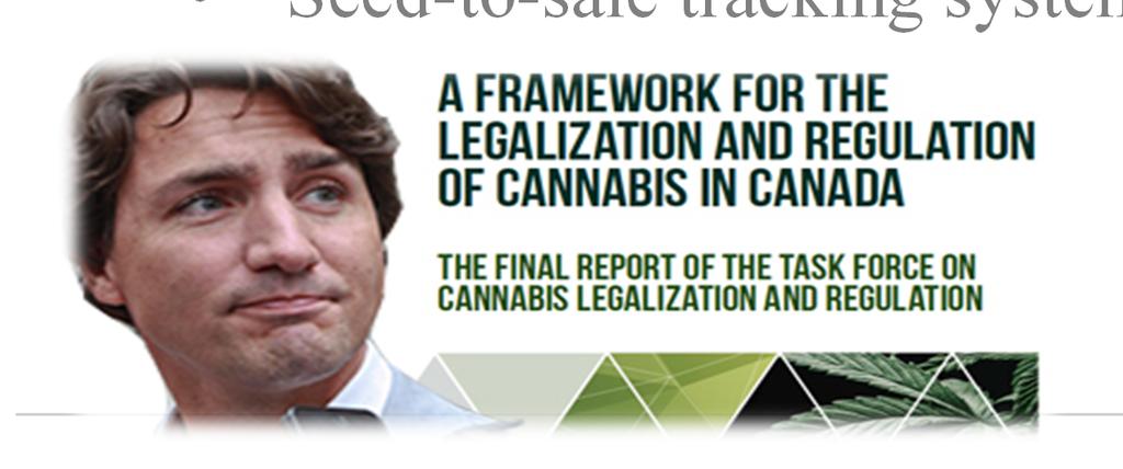 McLellan Report (2016) Includes 80+ recommendations for legalized recreational consumption and sales Minimum age of 18