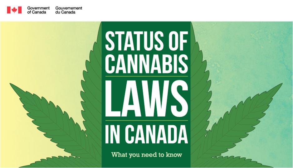 Current state of the law Unless/until the laws change: Cannabis is a Schedule II drug under the