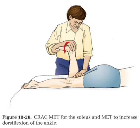 a. (Review) MET #3, (ch. 9, Knee, p.434) CRAC MET gastrocnemius (Figure 9-23) b.
