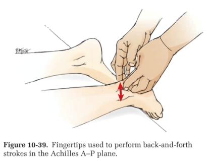 inches above, and on the heel 2) (Figure 10-39) A-P fingertips on either side of tendon 3) roll Achilles