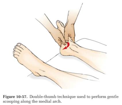 (Figure 10-57) 5) lateral mallelous = Peroneal