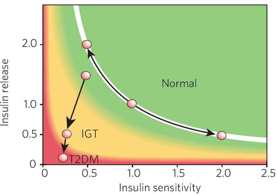 Young adults born preterm vs term Insulin secretion (AIRg [mu/l]) 4000 3000 2000 1000 0