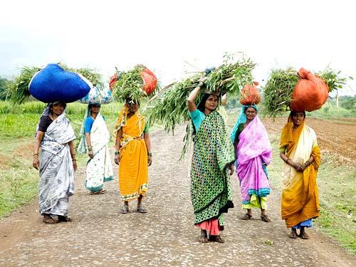 2. Bangladesh: Economic Empowerment of Women in Bangladesh Based on LFS (2002 03, 2005 06, 2010) and HHIES (2000, 2005, 2010); and Bangladesh IS Survey (2010) Rapid increase of FLFP; An alarming % of