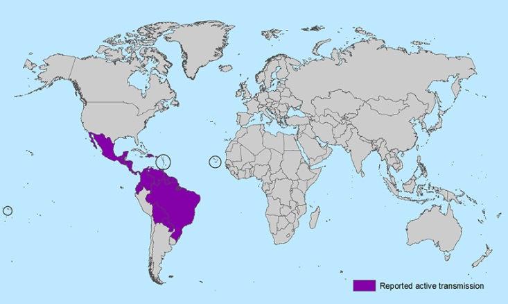 The U.S. CDC) Areas reported of active transmission (Source: These areas mostly include Mexico and Latin America, the Caribbean, and some islands in the South Pacific. See chart above.