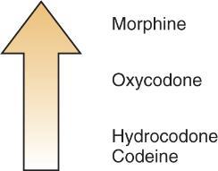 Slide 7 ADME Absorption Distribution Metabolism Excretion Pharmacokinetics 7 Slide 8 Pharmacologic Effects Analgesia