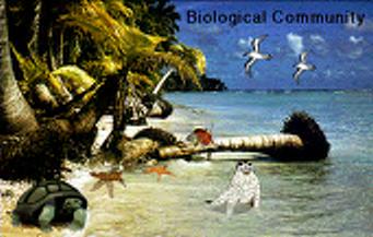 Study Guide #2 BIOLOGICAL COMMUNITIES Environmental conditions in a given area support a specific group of plants and animals. This group is called a community.