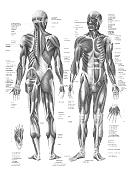 reflexology The art of reflexology can be dated back to Ancient Egypt, India and China.