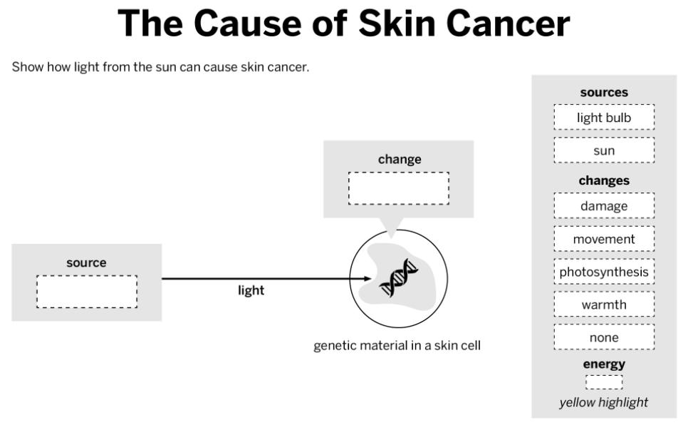 cancer. (20 min) The goal at the top of the Modeling Tool will guide you in what to represent in your diagrams.