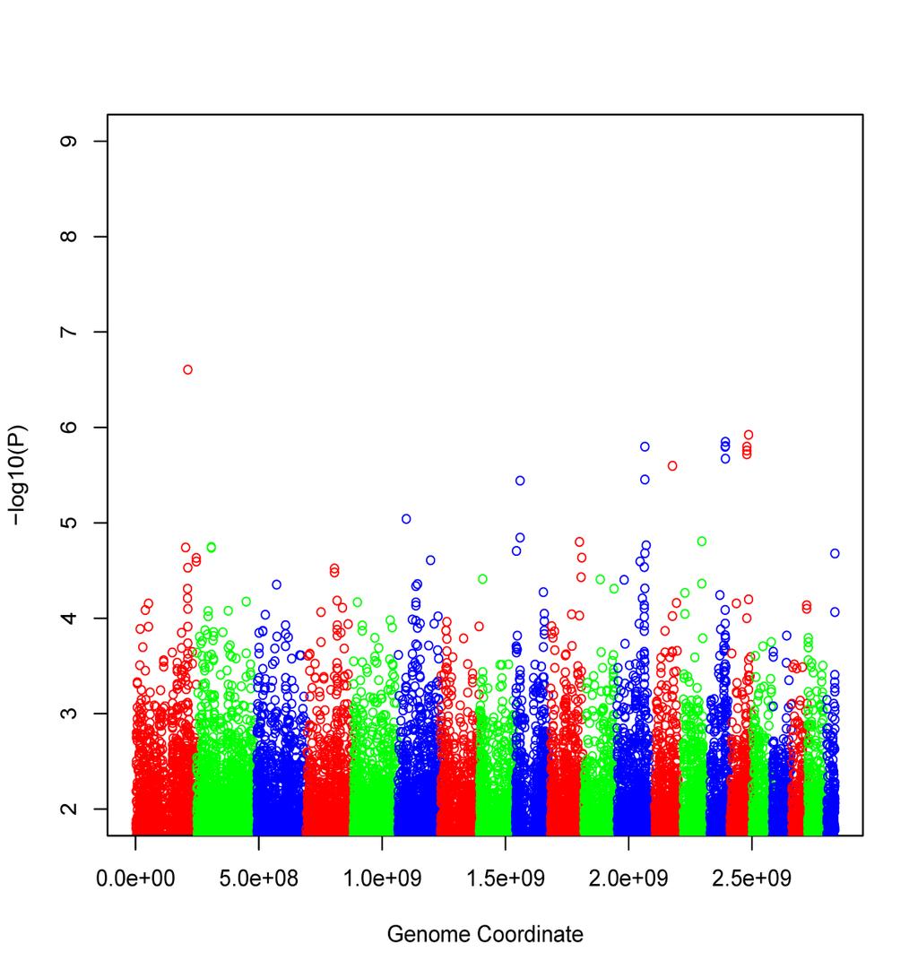 AAA Genome Wide Association Study Allelic association logistic