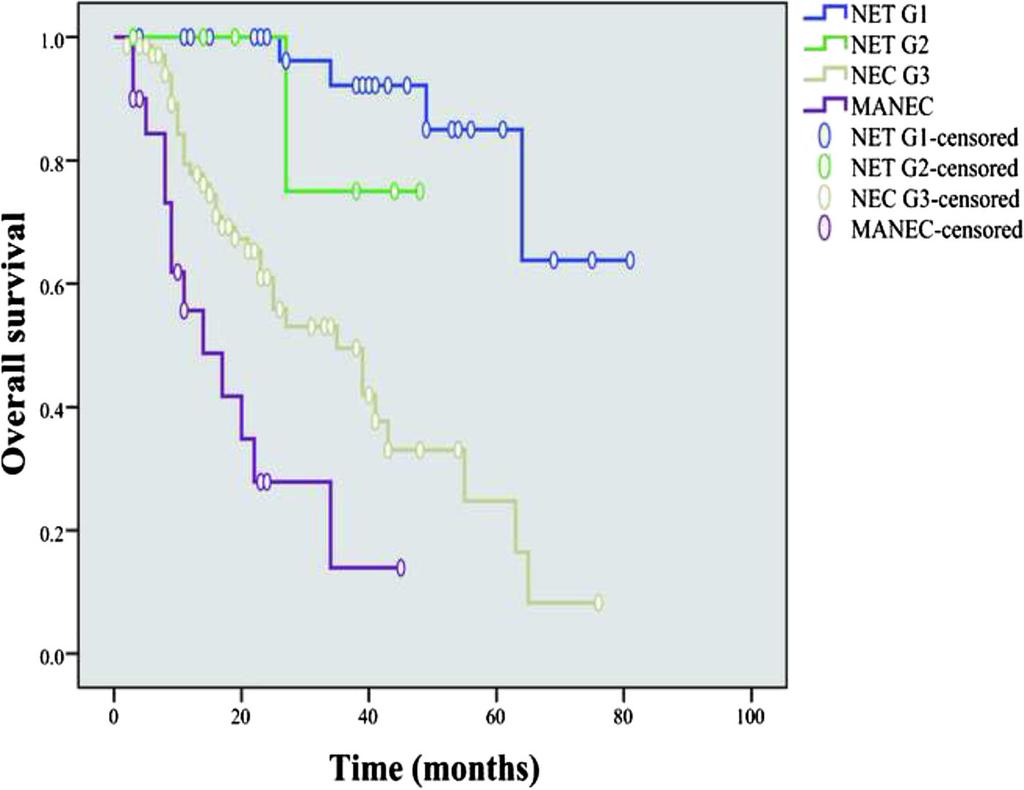 Shen et al. BMC Gastroenterology (2016) 16:111 Page 6 of 11 Fig. 1 Overall survival of 114 G-NENs patients after radical resection (stratified by the new 2010 WHO classification).