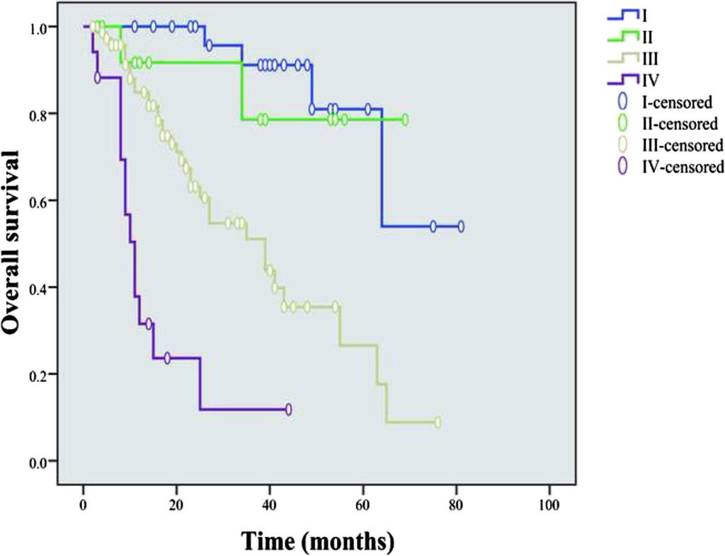 162), as well as those between NEC G3 and MANEC (P = 0.102) Fig. 2 Comparison of overall survival in all patients with G-NENs of different TNM stages.