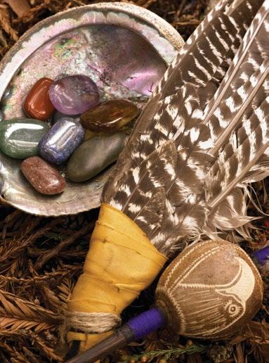 Intuitive Healing Arts Shaman Sessions Indigenous cultures of the Americas have long known that we are connected to all of nature.
