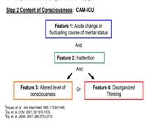 An additional disturbance in cognition (memory deficit, disorientation, language, visuospatial ability, or perception) The disturbances are not better explained by another preexisting, evolving or