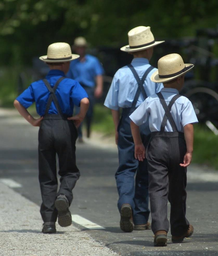 Study Population Amish children living in Kalona, IA.
