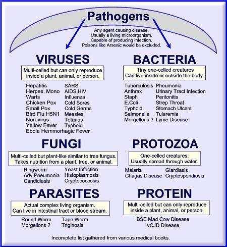 Pathogens Bacteria