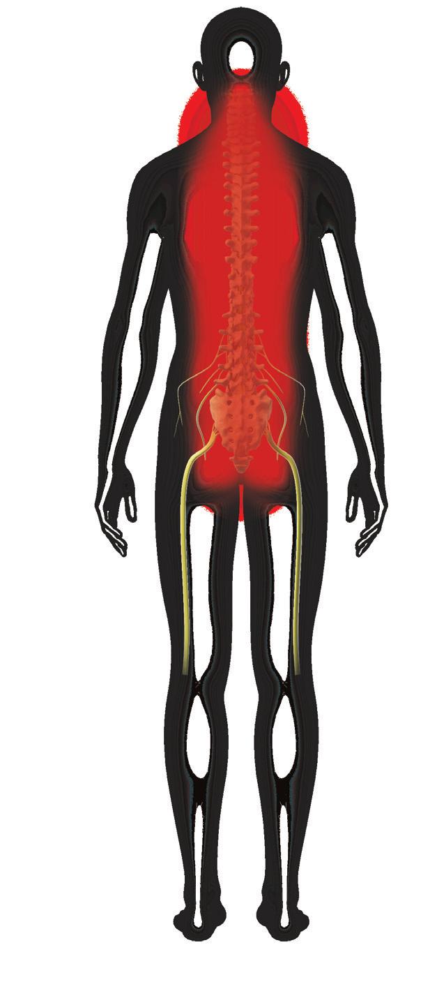 About Back Pain? When any of the anatomy of the spine, exiting nerves, muscles, or surrounding ligaments are not functioning properly, you may experience pain.