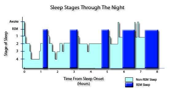 Typical Sleep Cycle Figure from: http://www.