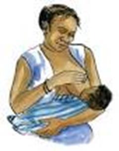 Breast feeding and Drugs When a breast feeding women smokes cannabis or drinks alcohol the drug can be present in