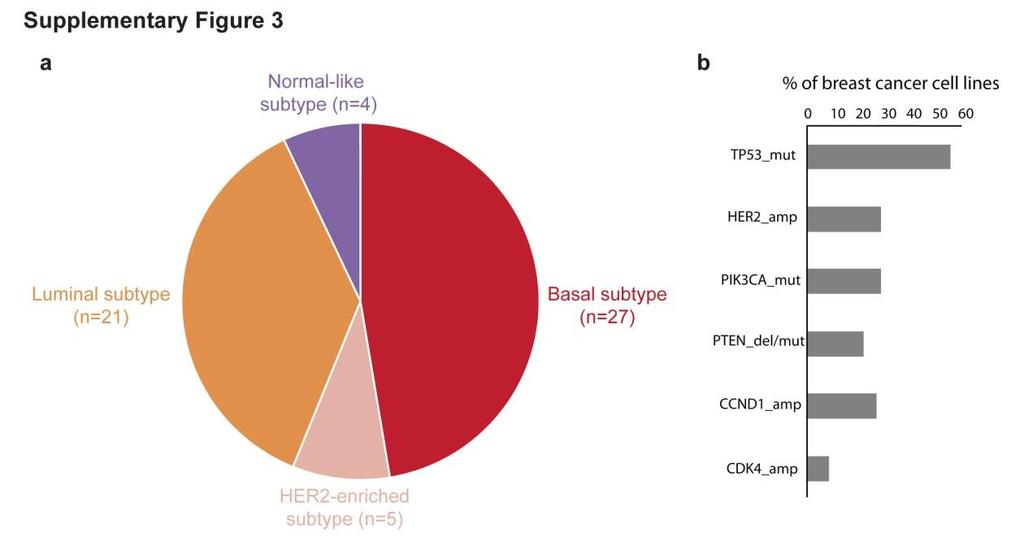 Supplementary Figure 3: Breast cancer cell lines from the cancer cell line encyclopedia represent all molecular subtypes of the human disease and exhibit the common mutations identified in the tumors.