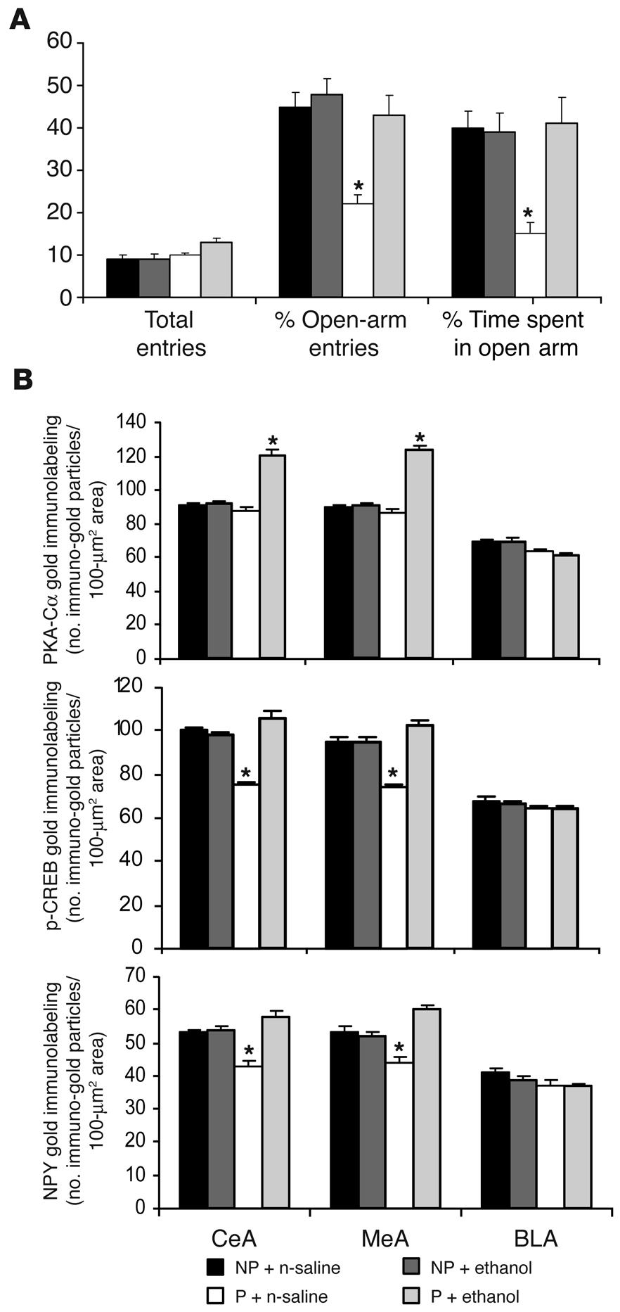 Figure 4 Anxiety-like behaviors and CREB function in the amygdala of P and NP rats following acute ethanol exposure. (A) The effects of acute ethanol injection (i.p.) on open- and closed-arm activities of P and NP rats in the EPM test.
