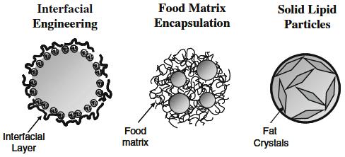 Dispersion Microstructure McClements et al, Food Biophysics 3, 219 228 (2008) Mun