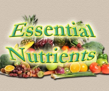 Types of Nutrients Essential