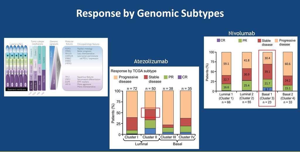 Response by Genomic Subtypes Sharma et al.