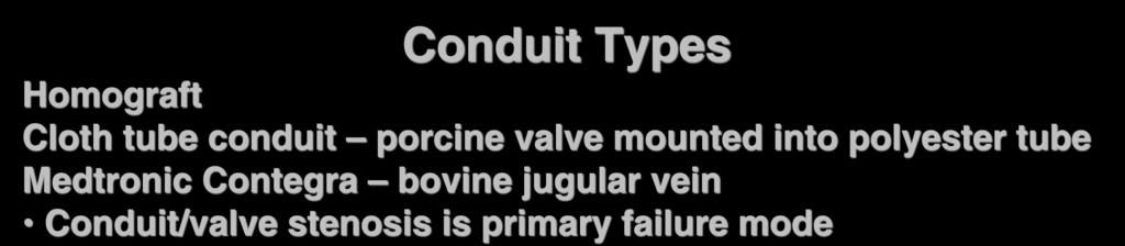 Pulmonary Valve