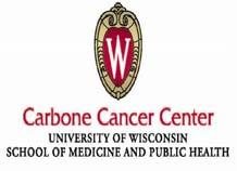 Request for Applications Basic, Clinical and Population Science Pilot Awards Spring, 2013 SUMMARY The University of Wisconsin Carbone Cancer Center (UWCCC) is an NCI-designated Comprehensive Cancer