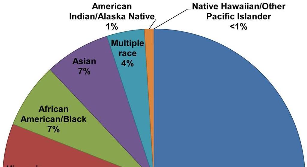 Racial / Ethnic Distribution of