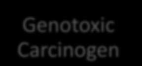 Changes in 2005 Mode of Action Genotoxic