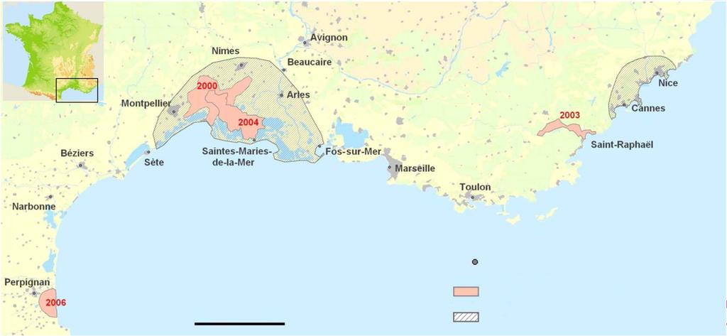 Limited outbreaks in South France Main cities 50 km Area of Outbreaks distribution Circulation zone of WNV after the