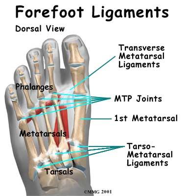 Do you have flat feet or high arches? Either puts feet at risk. A flat foot is squishy, causing muscles and tendons to stretch and weaken, leading to tendinitis and arthritis.