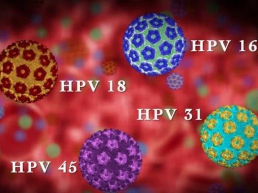 HPV the silent killer, Prevention and diagnosis HPV Human Papilloma Virus is a name given for a silent virus transmitted sexually most of the time, a virus that spreads in the name of love, passion,