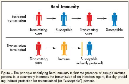 Community Immunity When a critical portion of a community is immunized against a contagious disease, most members of the community are protected against