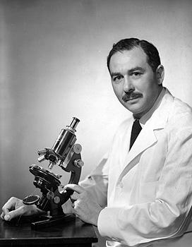 1947 Sidney Farber ( 1903-1973) Aminopterine: Folic acid Inh Acute