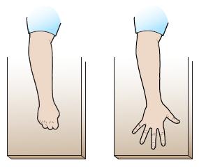 Finger bends 1. Place your forearms on a surface such as a table or your lap. 2. Make a tight fist, and then open your hand and extend your fingers out until they are straight (see Figure 18).