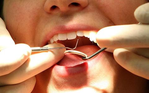 dental professionals like dental ceramists, dental hygienists.