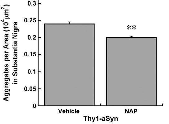 Reduction in Synuclein Pathology in Mouse Model Th1-aSyn Tg mouse model Synuclein aggregates **represent p<0.01 compared to vehicle treated Thy1-aSyn mice.