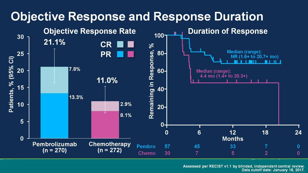Objective Response and Response Duration