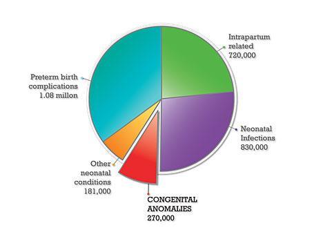 Causes of 2.7 million neonatal deaths in 193 countries in 2010 Source: Adapted from WHO.